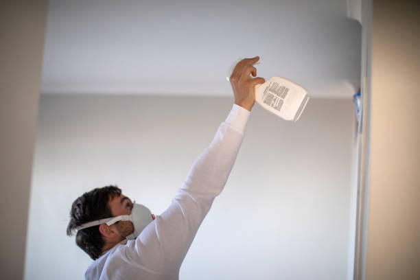 Best Kitchen Mold Remediation in Ramapo College Of New Jersey, NJ
