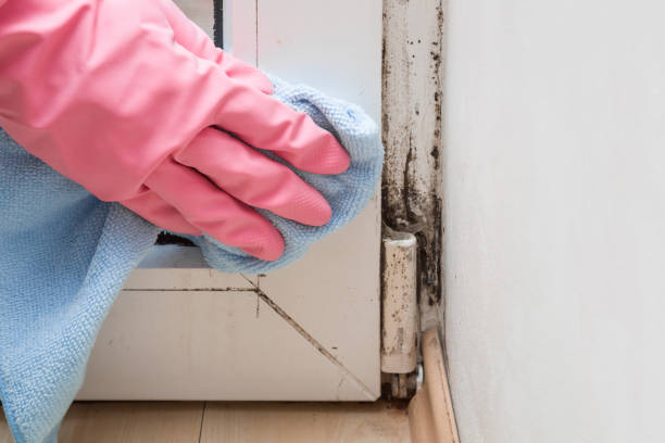 Best HVAC Mold Remediation in Ramapo College Of New Jersey, NJ